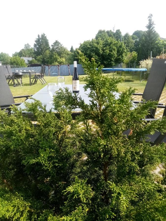 Apartmany Kohoutek A Slepicka V Novohradskych Horach Nové Hrady 외부 사진